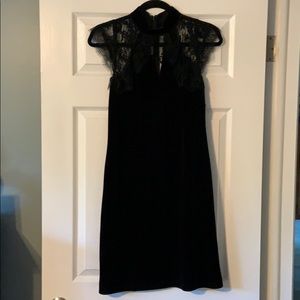 Velvet and Lace WHBM Dress